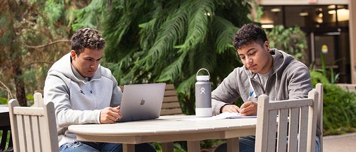 Students studying in Courtyard